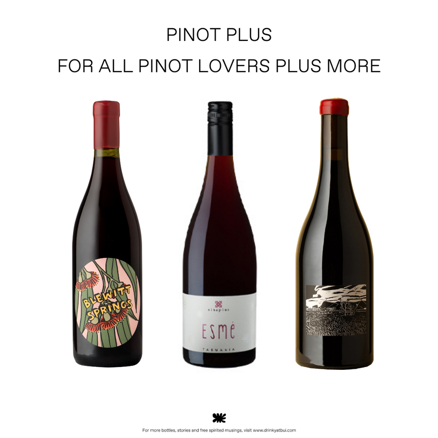 Pinot Plus